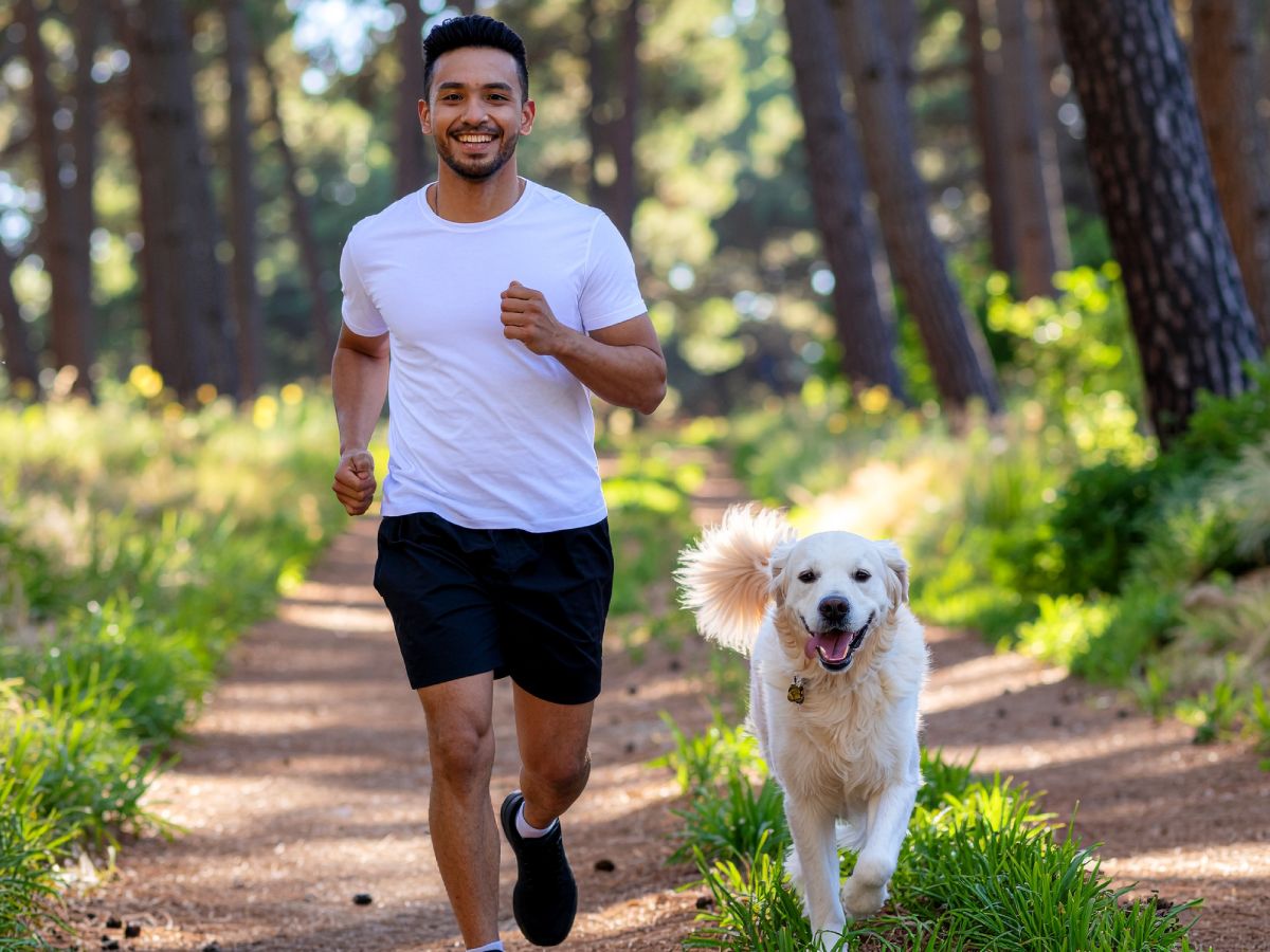 A three-dimensional artwork of a stylized human face. It's composed of various geometric shapes and blocks of color, including yellow, blue, orange, white, and gray.