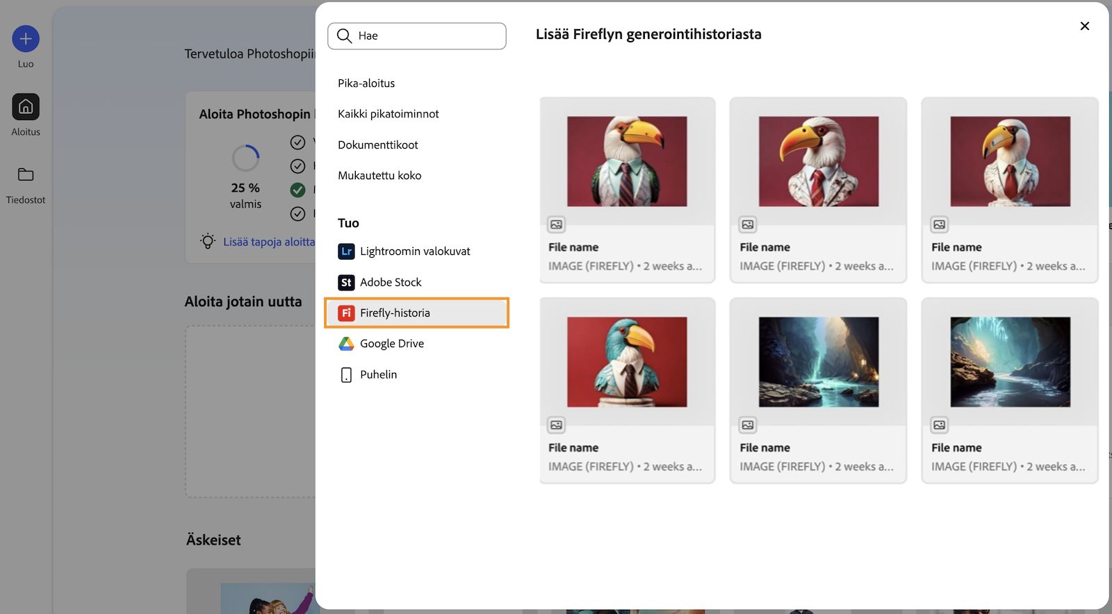 Lisää Fireflyn generointihistoriasta -paneeli avautuu, ja siinä näkyvät kaikki Fireflyn sivustolla generoidut kuvat.