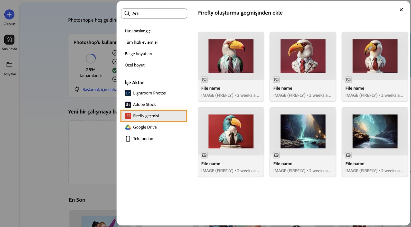 Firefly oluşturma geçmişi panelinden ekleme, Firefly web sitesinde oluşturulan tüm görüntüleri gösteren bir şekilde açılır.