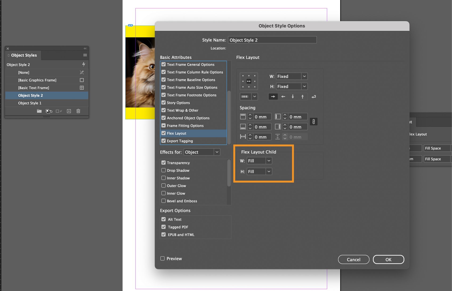 Flex Layout Child option is highlighted in Object Style Options dialog