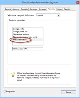 Entrada de máscara arbitraria en Acrobat