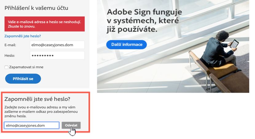 Panel Zapomenuté heslo