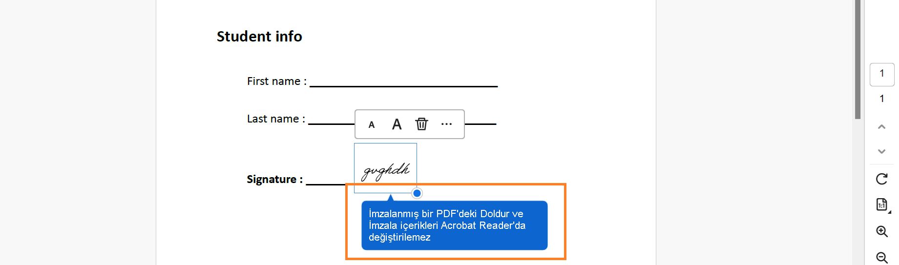 İmzalanan form kaydedildikten sonra düzleştirilmiş form alanları 