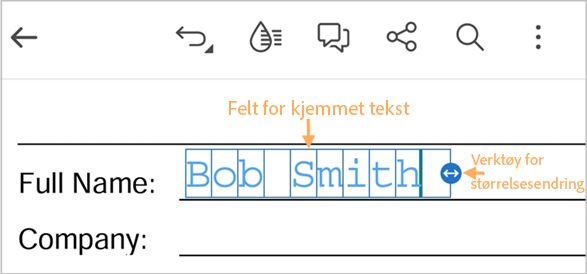 skjema-tekstfelt-kjemmet