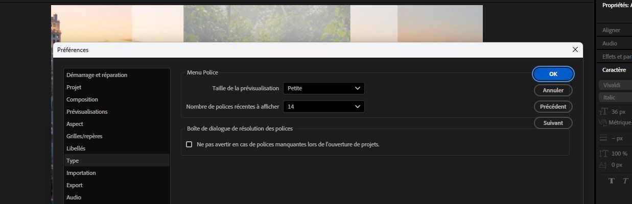 La boîte de dialogue Préférences est ouverte, et plusieurs paramètres sont disponibles pour les polices dans la section Menu des polices.