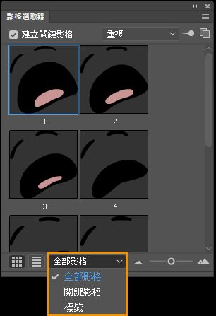 影格的篩選選項
