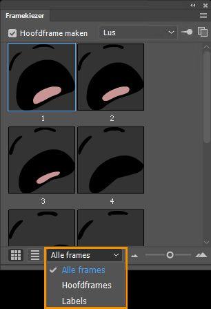 Filteropties voor frames