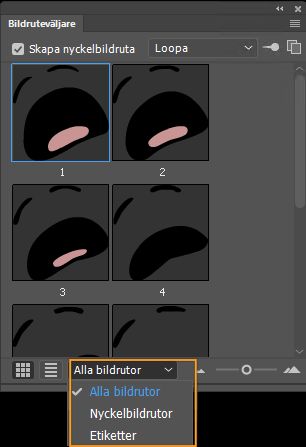 Filtreringsalternativ för bildrutor