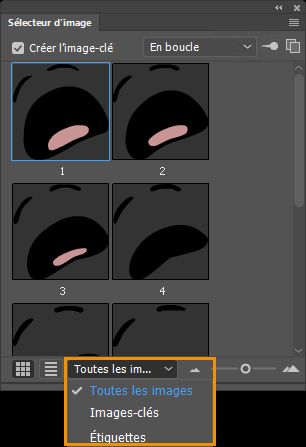 Options de filtrage des images