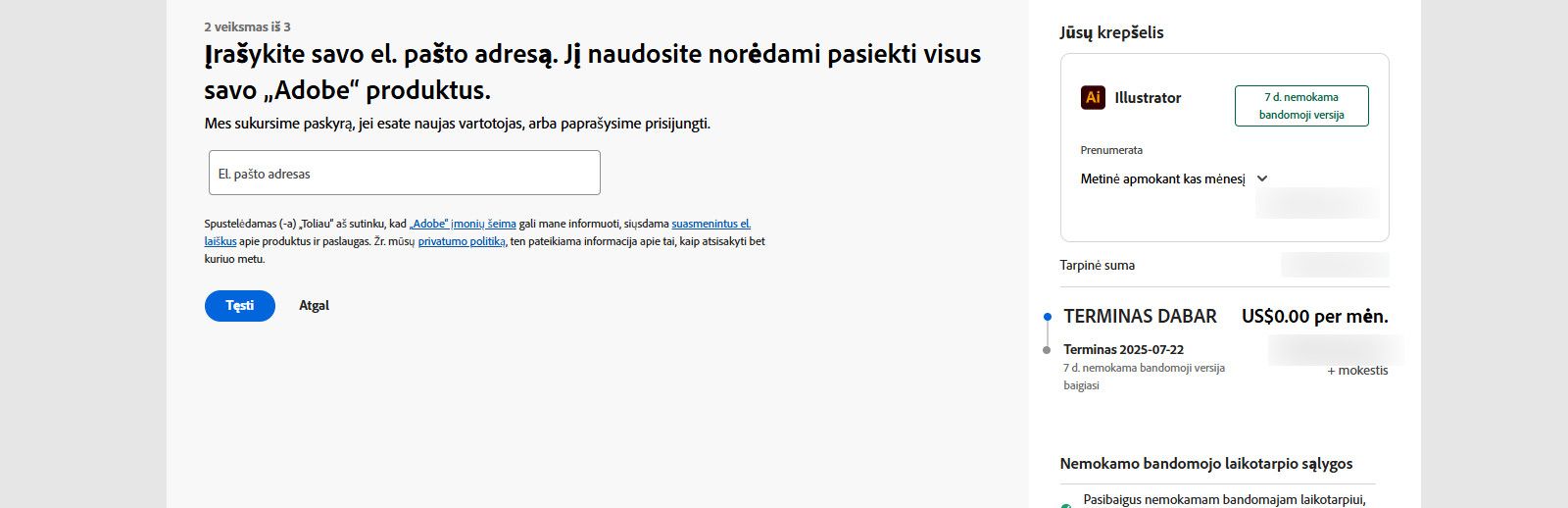 Mokėjimų puslapyje rodomas teksto laukelis el. pašto adresui įvesti ir jūsų plano informacija bei parinktys tęsti arba grįžti į ankstesnį puslapį. 