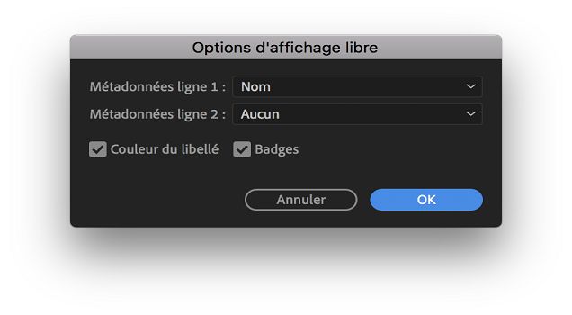 Spécification des métadonnées à afficher