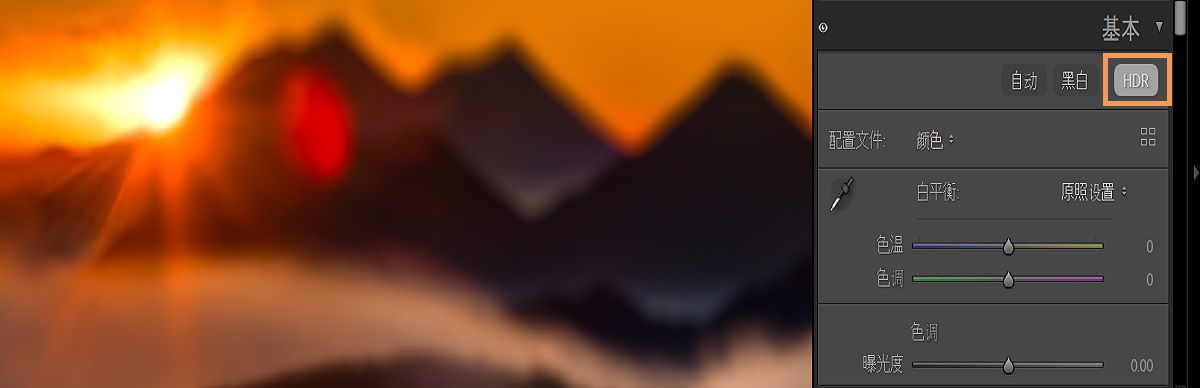 “基本”面板中的 HDR 按钮