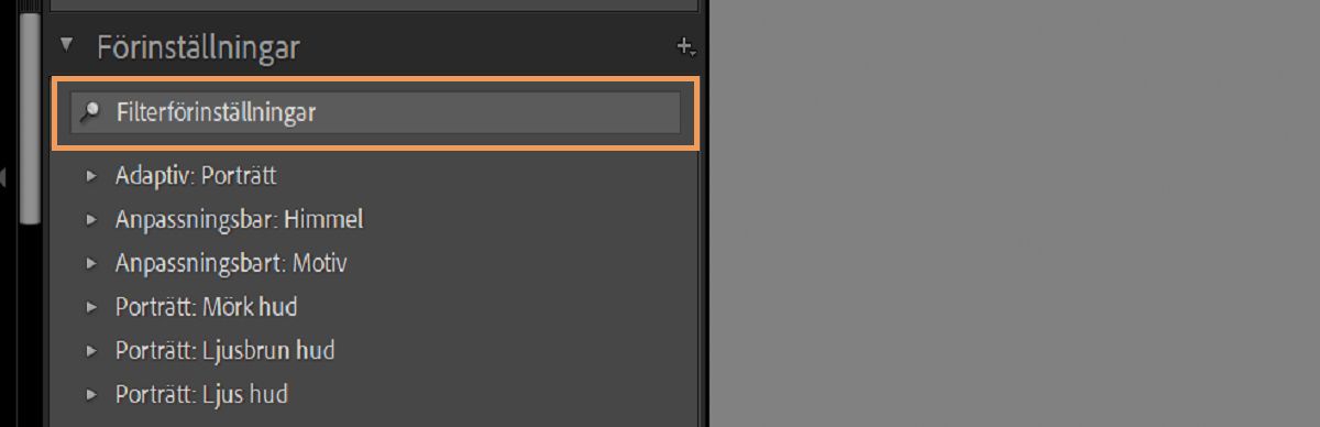 Panelen Filterförinställningar