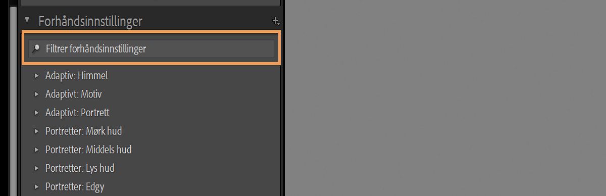 Panelet Forhåndsinnstillinger for filter