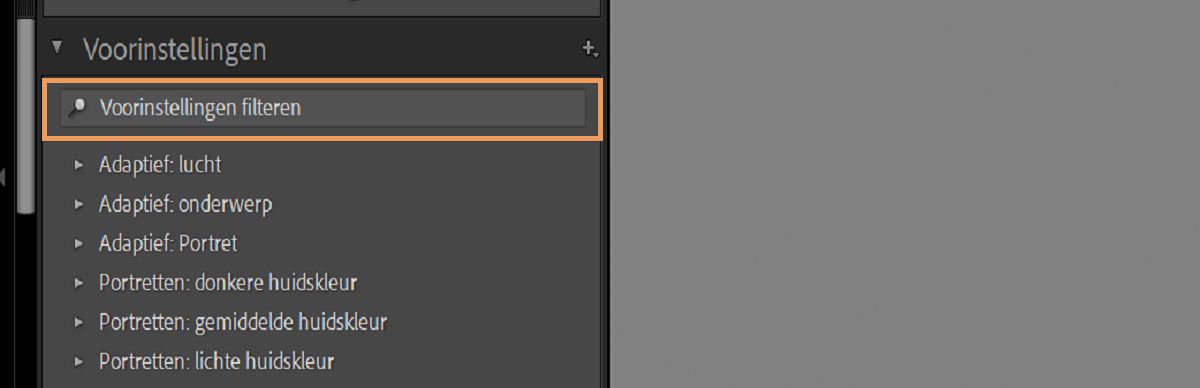 Deelvenster Voorinstellingen filteren