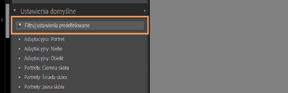 Panel filtrowania ustawień predefiniowanych 