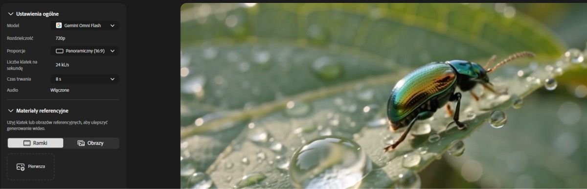 Strona Generuj wideo w usłudze Firefly wyświetla menu Odniesienia w sekcji Ustawienia ogólne z wybraną i podświetloną opcją Klatki.