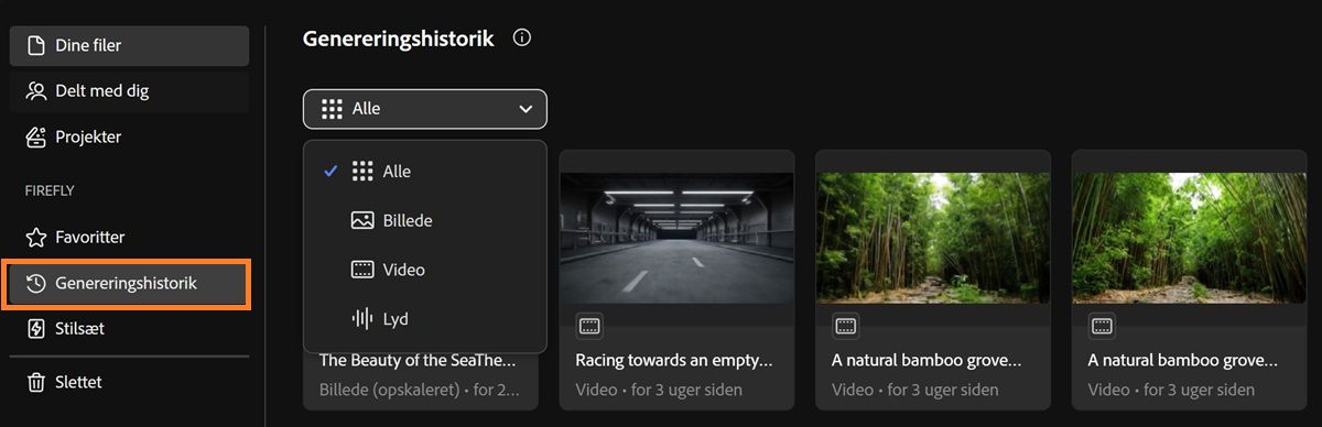 Firefly-fanen Genereringshistorik indeholder en rullemenu til at filtrere genereringstyper efter billede, video, lyd eller alle.