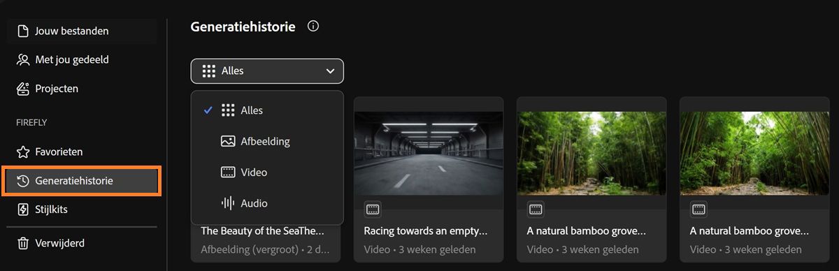 Het tabblad Generatiehistorie van Firefly bevat een vervolgkeuzemenu om generatietypen te filteren op afbeelding, video, audio of alles.