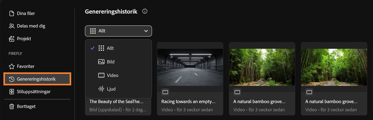 Fireflys flik Genereringshistorik innehåller en listruta för att filtrera genereringstyper efter bild, video, ljud eller alla.