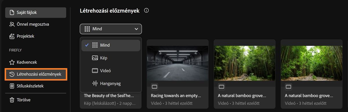 A Firefly Létrehozási előzmények lapja tartalmaz egy legördülő menüt a létrehozási típusok szűréséhez kép, videó, hang vagy összes szerint.