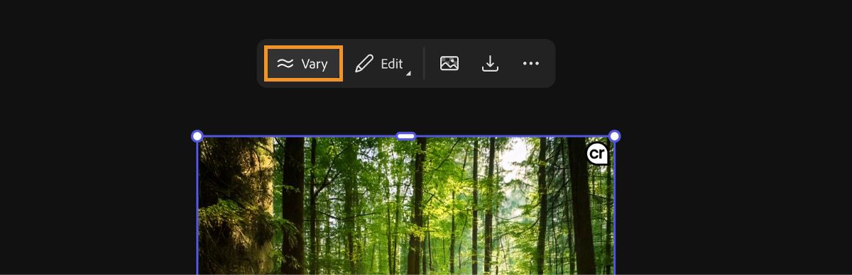 The image is selected and the Vary option is selected to generate multiple image variations
