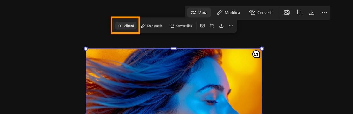 Több különböző képváltozat létrehozásához a kép ki van jelölve, és a Variál lehetőség van kiválasztva