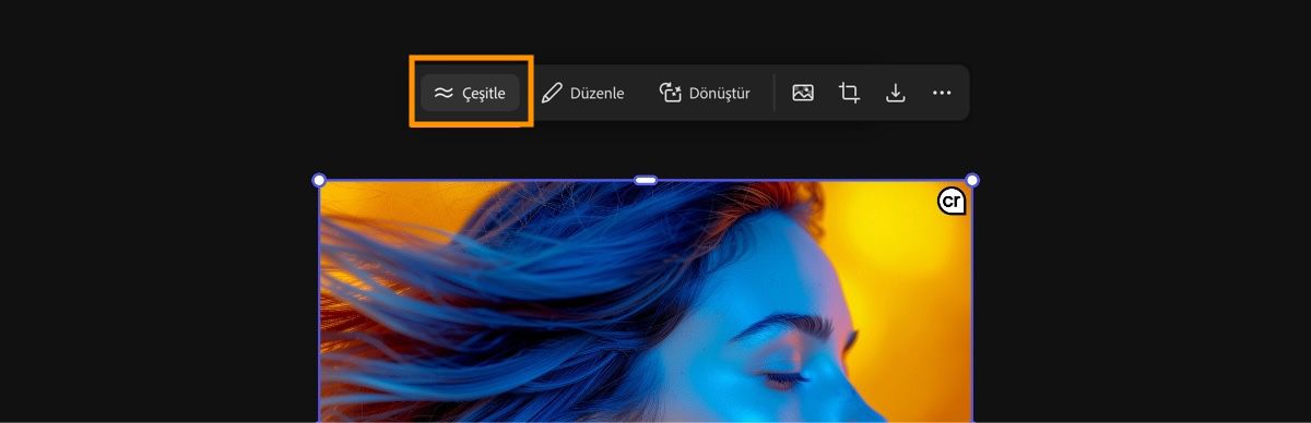Görüntü seçilir ve çoklu görüntü çeşitlemeleri oluşturmak için Çeşitle seçeneği belirlenir