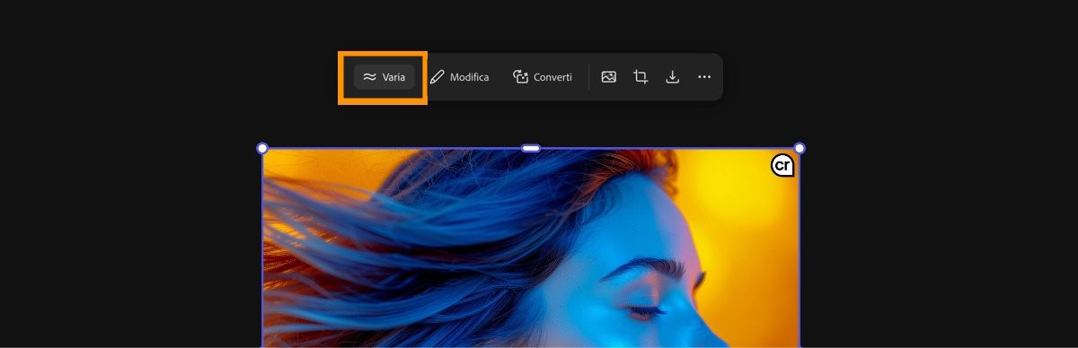 L’immagine è selezionata e l’opzione Varia è selezionata per generare più varianti dell'immagine
