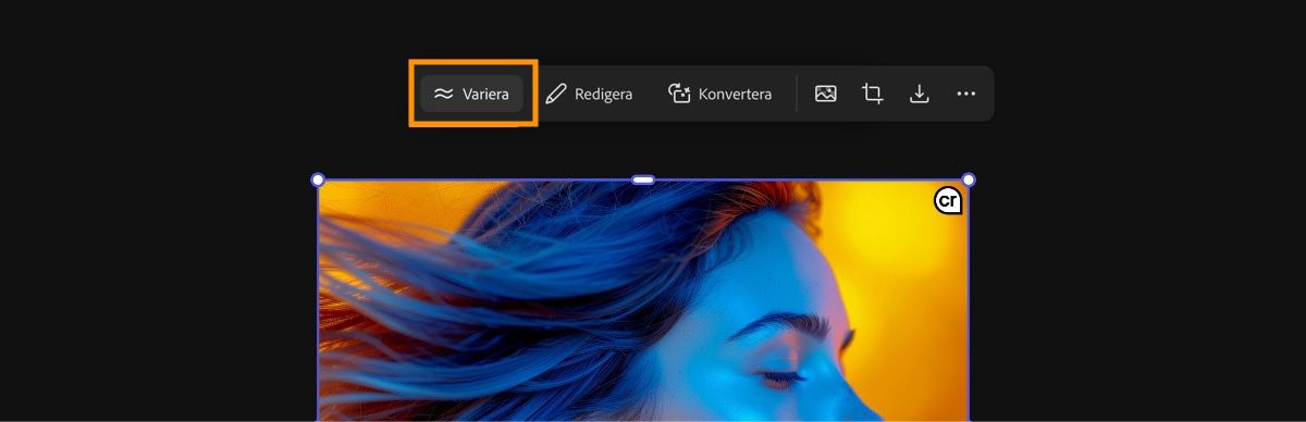 Bilden markeras och alternativet Variera markeras så att du kan generera flera bildvariationer