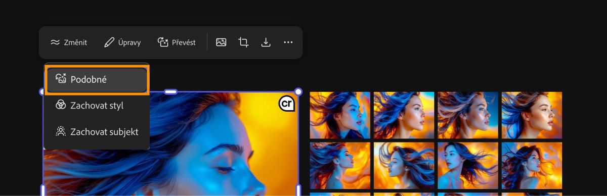 Pomocí volby Více podobných můžete generovat obrázky, které věrně odrážejí původní obrázek.