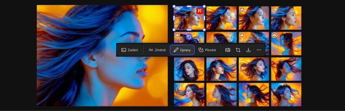 Pokud je pro obrázek vybrána možnost Načíst, zobrazí se na panelu zadání hlavní zadání, dílčí zadání a další nastavení generování.