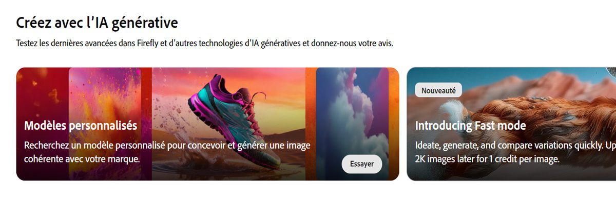 Sur la page d’accueil du site web de Firefly, le module Modèles personnalisés est mis en évidence.