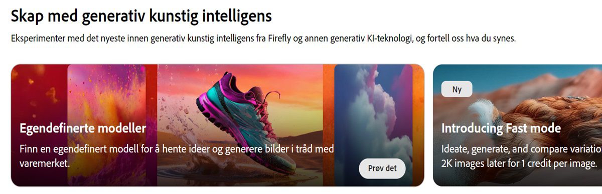 På startsiden til Firefly-nettsiden er modulen for egendefinerte modeller uthevet.