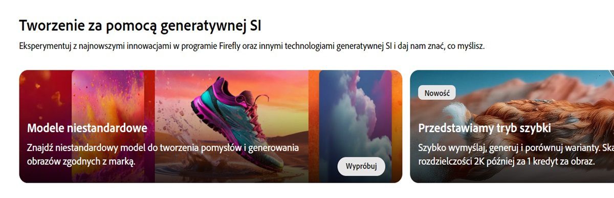 Na stronie głównej witryny Firefly podświetlony jest moduł Modele niestandardowe.