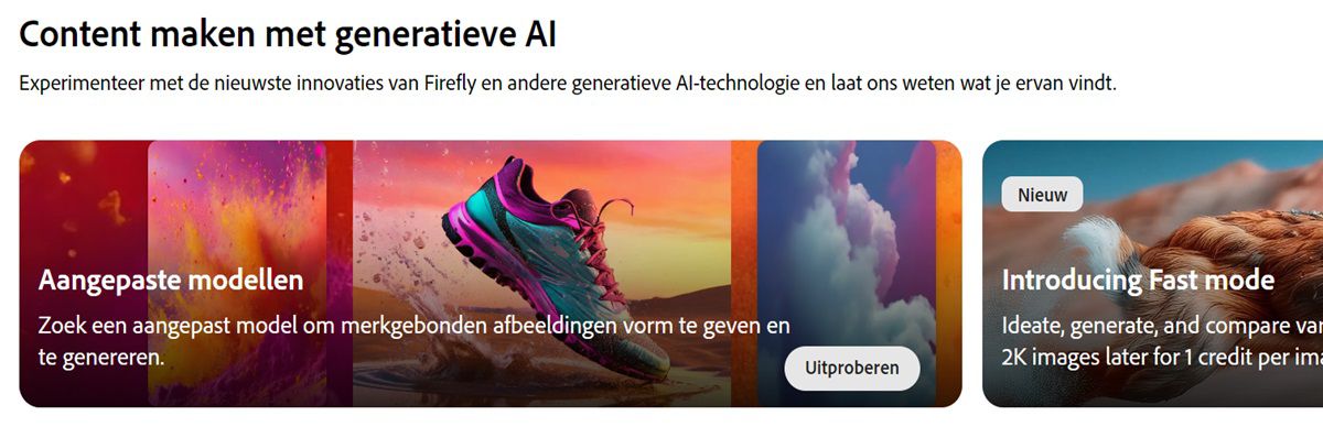 Op de homepage van de Firefly-website is de module Aangepaste modellen gemarkeerd.