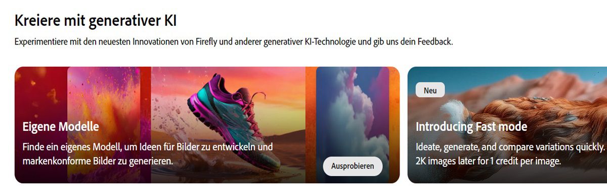 Auf der Startseite der Firefly-Website ist das Modul „Selbstdefinierte Modelle“ hervorgehoben.