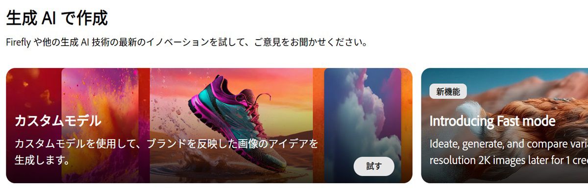 Firefly web サイトのホームページで、「カスタムモデル」モジュールがハイライト表示されています。