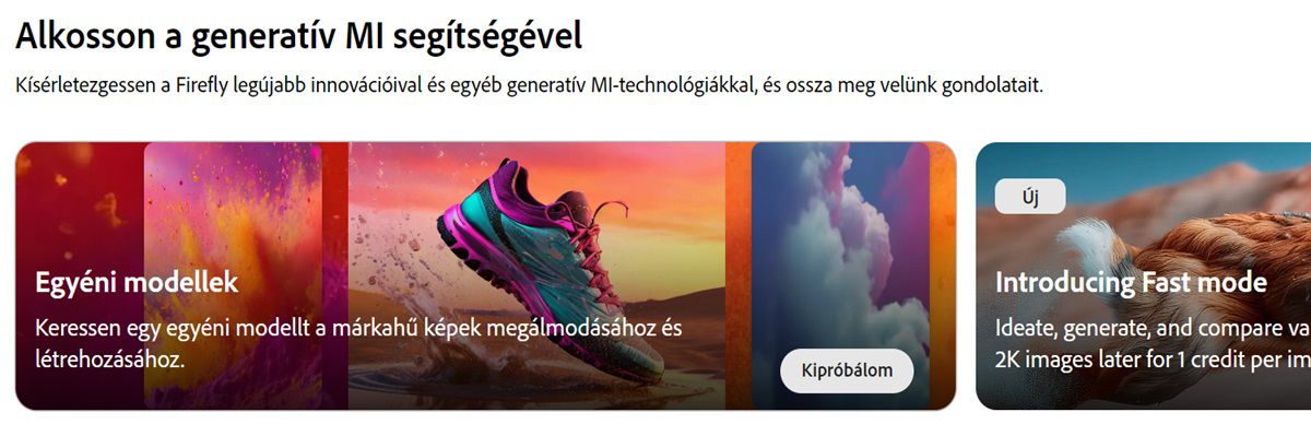 A Firefly webhely kezdőlapján az Egyéni modellek modul kiemelten jelenik meg.