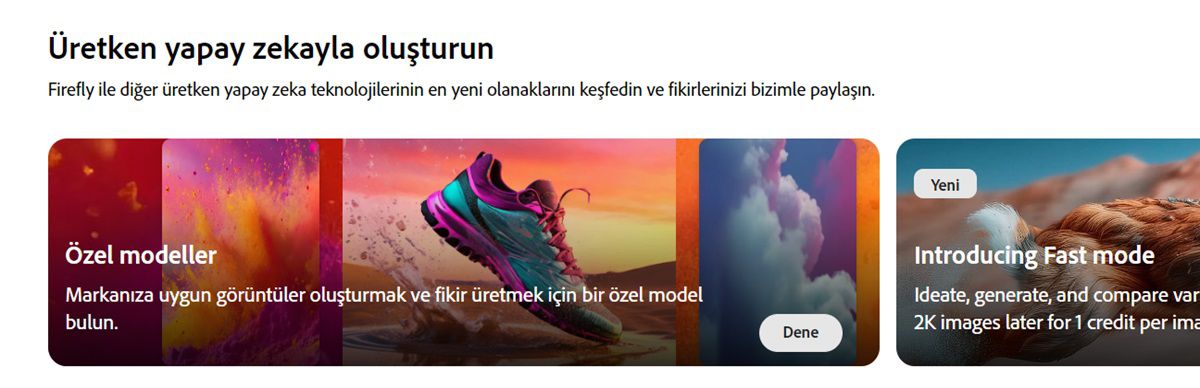 Firefly web sitesi ana sayfasında Özel modeller modülü vurgulanmış.