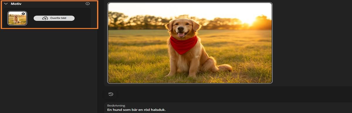 Motiv-alternativet har en bild på en hund tillagd och en prompt om att lägga till en röd halsduk till motivet.