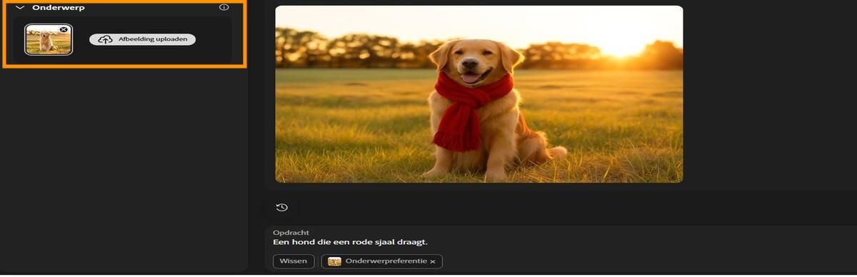 Bij de optie Onderwerp staat als voorbeeld een afbeelding van een hond met de opdracht om een rode sjaal aan het onderwerp toe te voegen.