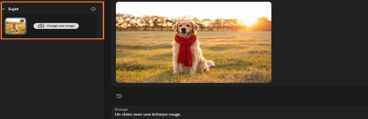 L’option Sujet comporte une image de chien et un prompt pour ajouter un foulard rouge au sujet.