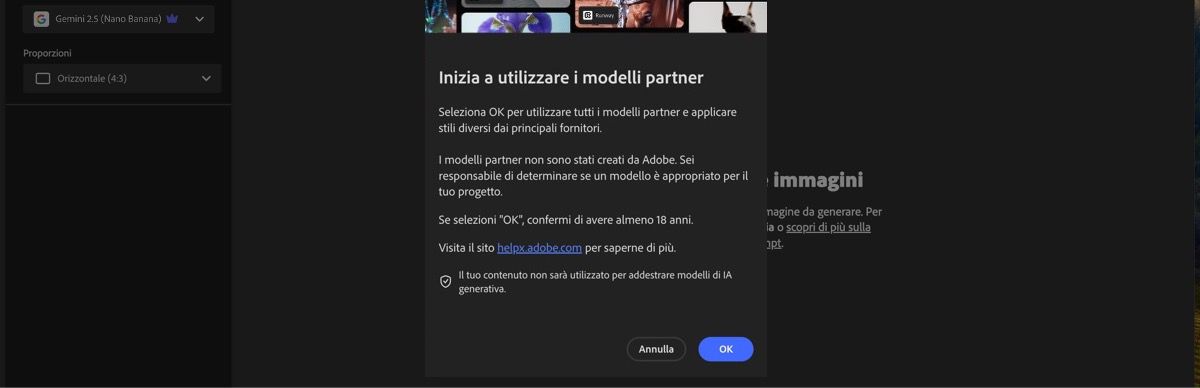 L'avvio dell'utilizzo dei modelli partner è aperto e hai l'opzione di continuare o annullare.