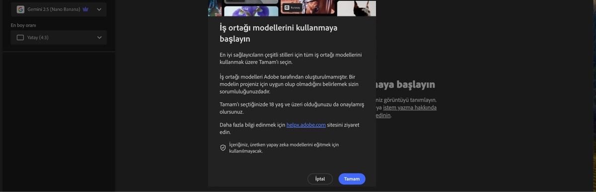İş ortağı modellerini kullanmaya başlama bölümü açık ve devam etme veya iptal etme seçeneği görüntüleniyor.