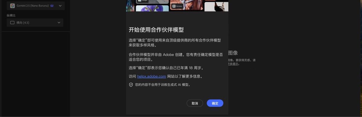 开始使用合作伙伴模型的对话框已打开，您可以选择继续或取消。