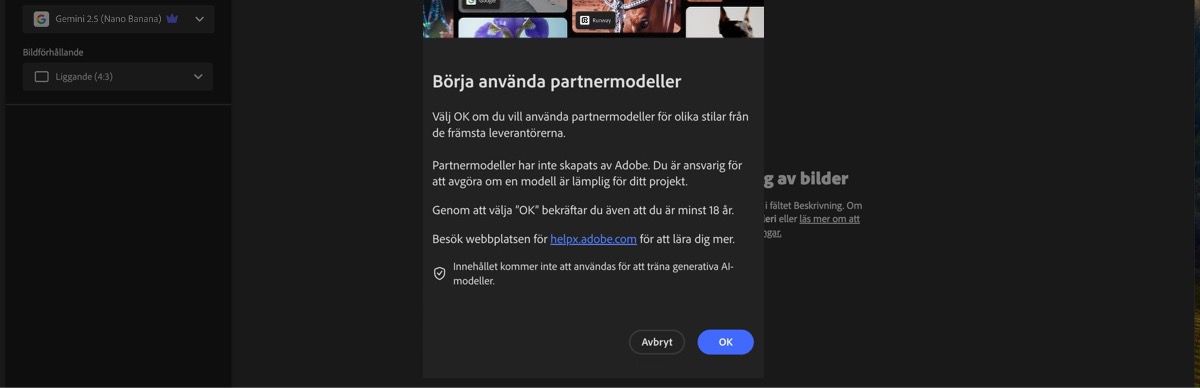 Starta användningen av partnermodellerna är öppen och du har möjlighet att fortsätta eller avbryta.
