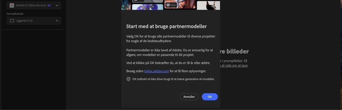 Start med at bruge partnermodellerne er åben, og du har mulighed for at fortsætte eller annullere.