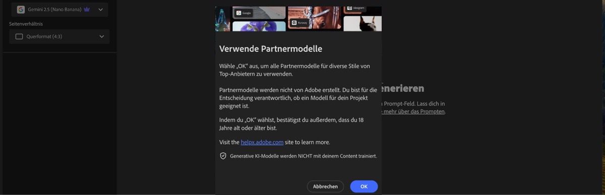 Die Einführung der Partnermodelle ist offen. Du hast die Möglichkeit, fortzufahren oder abzubrechen.