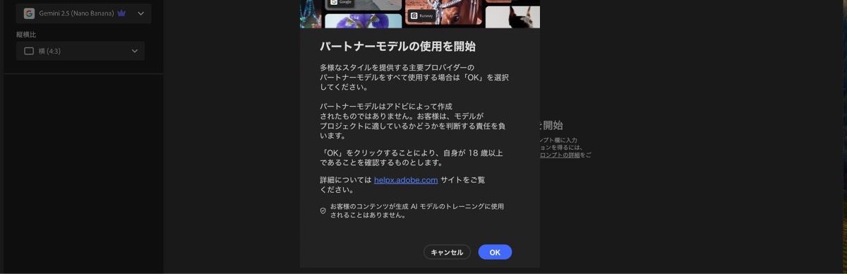パートナーモデルの使用開始画面が表示され、続行またはキャンセルを選択できます。